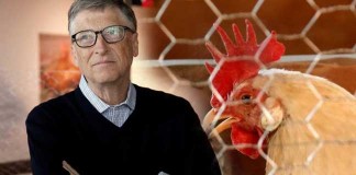 Bill Gates incurajeaza cresterea gainilor: Daca ai avea 2 dolari pe zi ca sa traiesti, ce ai face? bill-gates
