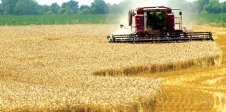 CEC BANK vinde credite fermierilor subvenționați de APIA CEC BANK