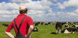 Fermierii vor primi aproape un miliard de euro Fermierii vor primi aproape un miliard de euro