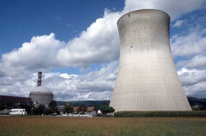 nuclearelectrica