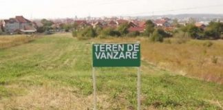 Persoanele fizice vor putea achiziționa terenuri agricole în limita a 150 de hectare, iar cele juridice până la cel mult 1.500 de hectare Persoanele fizice vor putea achiziționa terenuri agricole în limita a 150 de hectare