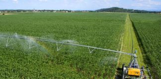 În primul trimestru al acestui an, prin Programul Naţional de Dezvoltare Rurală 2014 – 2020, fermierii au la dispoziţie 445,8 milioane de euro