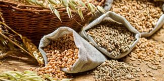 Ce impact poate avea interzicerea exporturilor la cereale?
