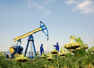 OMV Petrom profit net în scadere cu 56% la 6 luni: 867 mil lei OMV Petrom