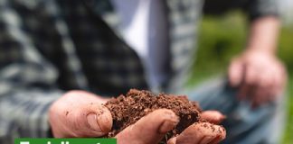 Planul Nestlé EMENA pentru emisii nete zero până în 2050