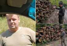 Cum protejeaza Romsilva hotii de paduri – O firma a continuat inca un an sa fure lemne-dupa ce a fost prinsa. Ca doar de aceea e bataie pe posturile Romsiva si pe ,,bonusurile” de 100,000 de euro!
