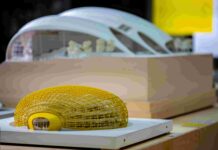 Pentru prima oară în România, Foster + Partners aduce la Iași, în parteneriat cu IULIUS, expoziția Future Proof, 60 de ani de arhitectură