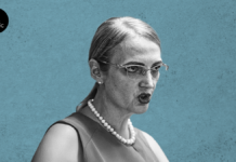 Lia Savonea – Când justiția miroase a combinații: cazul Savonea și întrebările care nu mai pot fi îngropate