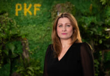 Cum transformă SAF-T raportarea fiscală și de ce contează pentru CFO și CEO