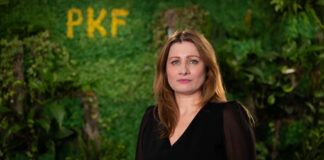 Cum transformă SAF-T raportarea fiscală și de ce contează pentru CFO și CEO