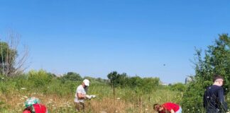 Parcul Natural Văcărești continuă programul de voluntariat cu o nouă acțiune de ecologizare