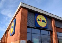 Lidl aproape triplează exporturile de pepeni românești: 2.820 de tone au ajuns în magazinele grupului din străinătate Lidl aproape triplează exporturile de pepeni românești: 2.820 de tone au ajuns în magazinele grupului din străinătate