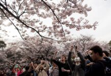 Japonia înăsprește vizele pentru cetățenii ruși după creșterea de 53 de ori a numărului de vizitatori Japonia înăsprește vizele pentru cetățenii ruși după creșterea de 53 de ori a numărului de vizitatori