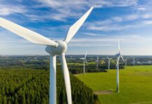 Greenvolt pregătește un parc eolian de 252 MW în Călărași, parte a unui portofoliu care va adăuga aproape 500 MW Greenvolt pregătește un parc eolian de 252 MW în Călărași, parte a unui portofoliu care va adăuga aproape 500 MW