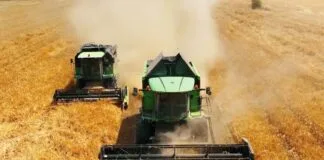 Norofert își crește ușor afacerile, dar profitul scade cu 25%: ce arată rezultatele despre agribusiness-ul românesc