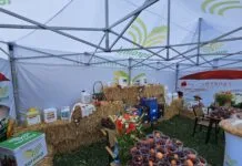 Proiectul suveranității alimentare ar crea depozite pentru fermieri, dar Guvernul contestă finanțarea și regulile de acces Proiectul suveranității alimentare ar crea depozite pentru fermieri, dar Guvernul contestă finanțarea și regulile de acces