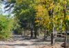 Parcul Grozăvești din Sectorul 6 avansează: 24,3 milioane de lei pentru 3,1 hectare cu sport, recreere și belvedere