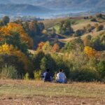 Pădurea Craiului devine a șaptea destinație ecoturistică recunoscută oficial în România Ce înseamnă pentru Bihor