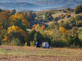 Pădurea Craiului devine a șaptea destinație ecoturistică recunoscută oficial în România. Ce înseamnă pentru Bihor