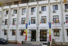 300 de steaguri, 90.000 de lei și o firmă din Eforie Sud: cum a devenit un SRL cu un singur angajat furnizor constant al banului public Primăria Constanța