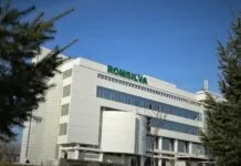 Guvernul aprobă bugetul Romsilva pentru 2026: profit brut estimat la 105 milioane de lei și investiții de 288,7 milioane