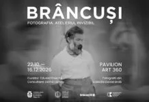 33 de fotografii realizate de Constantin Brâncuși, expuse în premieră la Târgu Jiu 33 de fotografii realizate de Constantin Brâncuși, expuse în premieră la Târgu Jiu