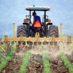Fermierii cer 157 de milioane de lei în plus pentru îngrășăminte: sprijinul ar putea ajunge la 200%