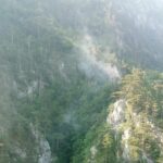 Prevenirea incendiilor de pădure intră într-o nouă etapă: Ministerul Mediului propune reguli adaptate secetei și riscului crescut