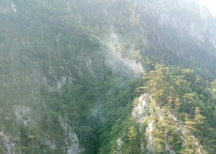 Prevenirea incendiilor de pădure intră într-o nouă etapă: Ministerul Mediului propune reguli adaptate secetei și riscului crescut