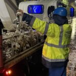 Bucureștiul se pregătește de sărbători: șase milioane de luminițe pe marile bulevarde, aprinse pe 27 noiembrie