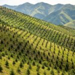 Coaliția Natura 2000 cere explicații Ministerului Mediului pentru întârzierea Planului de Restaurare a Naturii